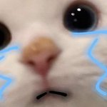 [19] <b>남친</b>이랑 <b>첫</b>뽀뽀 어케 햇어?