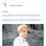 [NCT칠프] 여<b>돌만</b> 올리는 움짤계에서 정우 올려주심