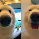 표정만 봐도 알 수 있어요!