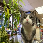 <b>태생</b>군면제인사람들은 닥치면됨