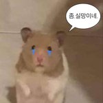 [댓글부탁해] 짝남 <b>infp</b>인데 이거 좋은 신호임..?