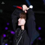 타돌홈마가 올려준 <b>호비</b> 콧대 미쳤음