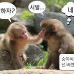 남사친이 <b>infj</b>인데 너네도 이럼?