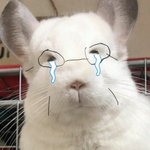 [댓글부탁해] 영어 발표 <b>주제</b> <b>추천</b>좀 ㅠㅠㅠ