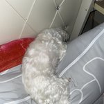 진짜 양심없게 자기 1등인 듯