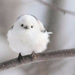 <b>눈꼽</b> 떼주는 썸남어때?