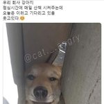 <b>이마</b> 좁은데 이쁜 여자연예인있음?