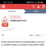 톡<b>선</b> 갓반고 <b>글</b>