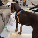 [군대] 밤이랑 <b>팽이</b> 봐ㅋㅋㅋㅋ