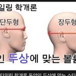 너넨 단두형vs<b>장두형</b> 뭐가 더 이쁜거같아?