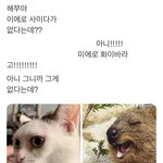 헐 해쭈 <b>내년</b>부터 애기 계획한대