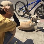 [ㅈㄱㄴ] 고3 중간 23일 남았는데 올1 가능?