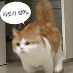 노래 추천 좀 해주라