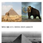 급 현타오는 이집트 <b>역사</b>