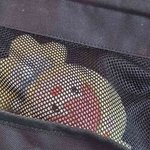 [NCT드림] 꼼찌랑 <b>하교</b>하는 중인데 오늘 날씨 개좋다..