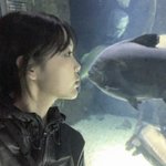 나 남사친이 이거 닮았대 ㅋㅋㅋ