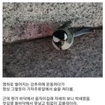 운동하다가 새를 <b>주운</b> 사람