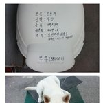 개같은 <b>보안</b>담당 과장