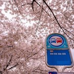 [드루와] 제<b>이</b><b>팝</b> ㅊㅊ해줭
