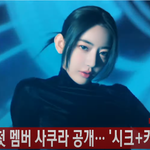 르세라핌 (LE <b>SSERAFIM</b>), 첫 멤버 사쿠라 공개···