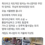 시골에서 강아지 키우는거 ㄹㅇ개싫어