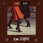 이노래 들어봐