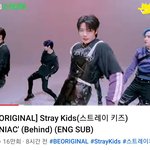 [스키즈] 학교가기전, 회사가기전