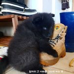 사랑을 퍼주기 바쁜 <b>소중</b>한 생명체들