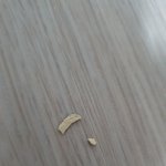 부대<b>찌개</b>에 나온이것!! 뭔가요?
