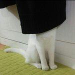 [댓글부탁해] ㅇㄴ 나 코로난데 옷 산거 오늘 오거든