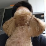 붉은<b>달님</b> 지금 제 프사인데 찐따같나요?