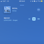 [드루와] 아이브 <b>로얄</b>