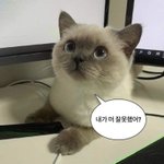 펜슬 <b>아라</b> 어케 그림? ㅜㅜ