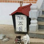 뭔놈의 <b>톡선</b>이 큰뱅 뭔세라핌