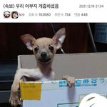 트위터에 학폭가해자 <b>연생</b> 걔 ㄴㄱ임