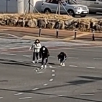 도로위 <b>벽돌</b> 치워 사고 막은 10대 여학생들