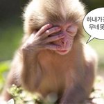 [댓글부탁해] 우리 학교 <b>찐따</b> <b>커플</b> 진짜 개웃김