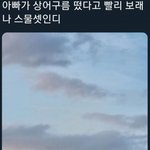 상어구름 보라고 <b>재촉</b>하는 아빠