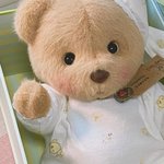 심쿵하는 <b>애착</b>인형