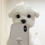 [댓글부탁해] 알았다/몰랐다 추반해보자(<b>연예</b>인편)