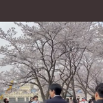 <b>유느</b> 비율뭐노