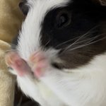 판<b>녀</b>들아 <b>짝</b><b>남</b>한테 인스타 걸었다...