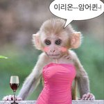 우리 고등학교 갓반고임?
