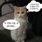 [댓글부탁해] <b>접점</b> 하나도 없는 짝남이랑 어케 친해져?