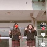이제 아이돌 <b>과사</b>에 틱톡도 나오네ㅋㅋㅋㅋ