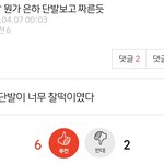 <b>버디</b>들 김채원한테까지 ㅈㄹ이냐