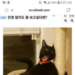 [방탈죄송] <b>털바퀴</b> 악마설