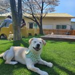 우리가 바로 시고르자브종 오둥이 25 (feat.꽃개)