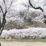 [<b>나른</b>함] <b>나른</b>함