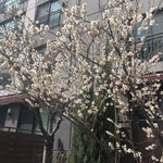 [드루와] 진짜 나한테 <b>개정</b>떨어짐ㅋㅋ